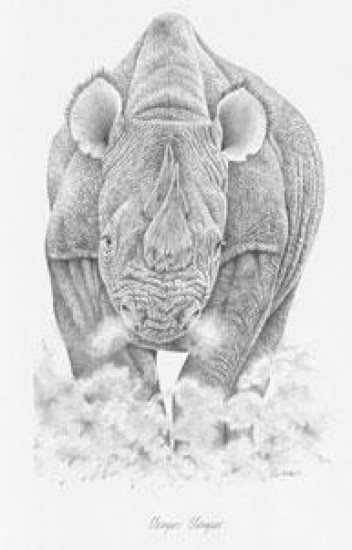 Temper Temper - Rhino - Mounted Temper Temper - Rhino - Mounted