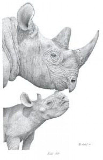 Kiss Me - Rhinos