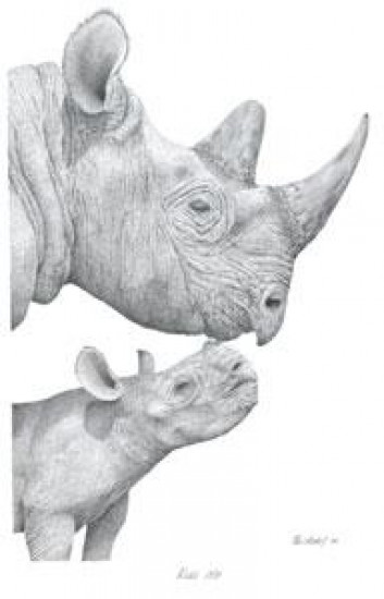 Kiss Me - Rhinos - Mounted