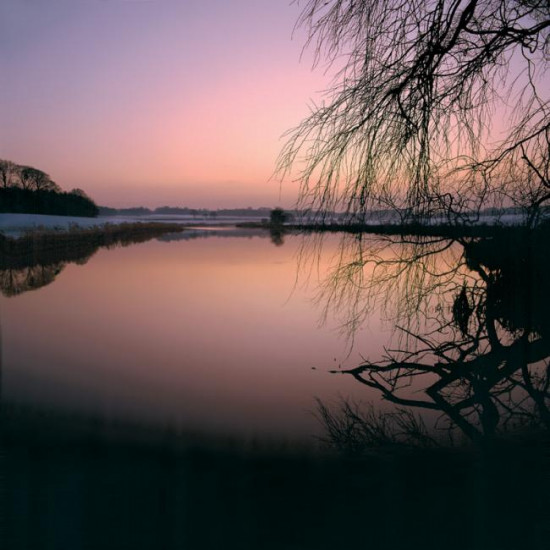 Lilac Dusk - Mounted Lilac Dusk - Mounted