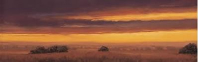 Golden Skies