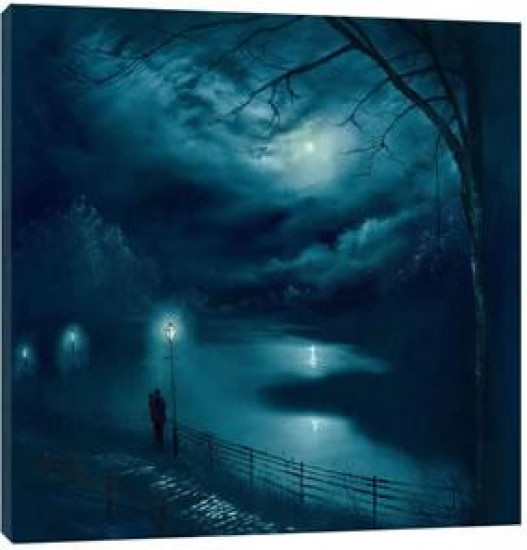 Under The Moonlight - Box Canvas