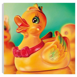 Dolly Duck - Box Canvas