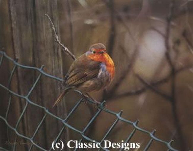 Sitting On The Fence - Robin - Print