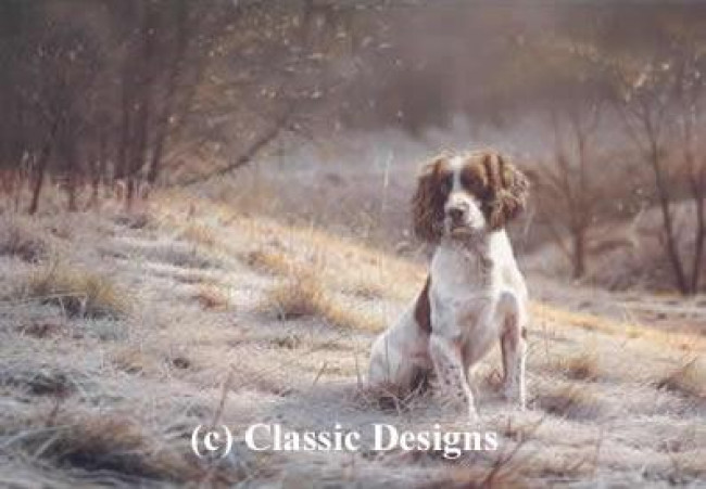 Dash - Springer Spaniel - Mounted