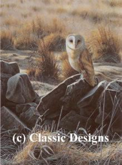 The Hunter - Barn Owl