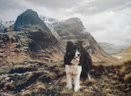 Champion Of The Glen