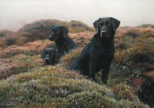 The Three Musketeers The Three Musketeers