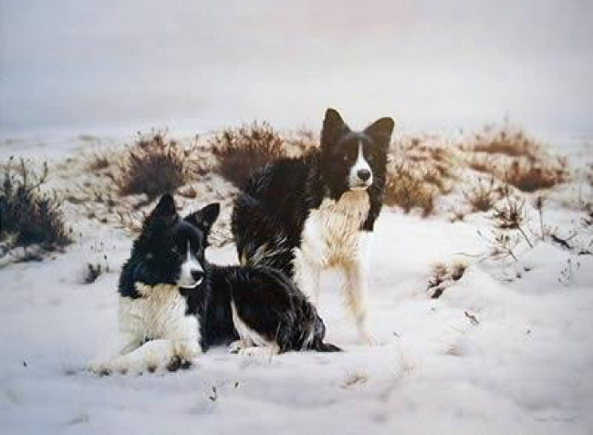 Snow Search - Mounted