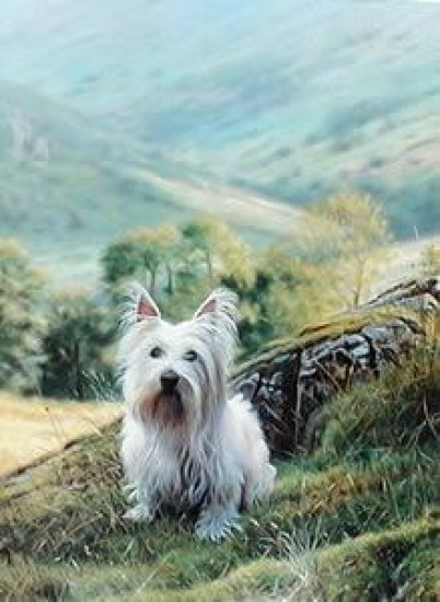 Westie - Print