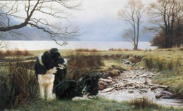 Working Pair - Border Collies - Mounted