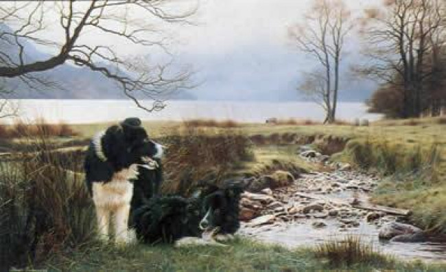 Working Pair - Border Collies - Mounted