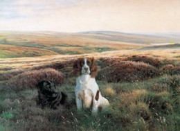 Workmates - Springer & Labrador - Mounted