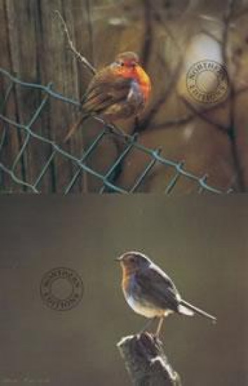 Robins - Set Of 2 - Print