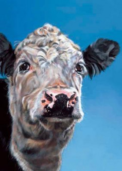 Latte - Cow - Box Canvas