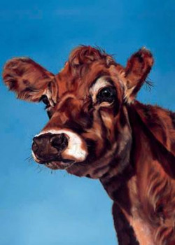 Cappuccino - Cow - Box Canvas