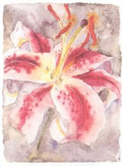 Lilly Study IV