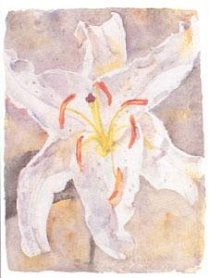 Lilly Study III