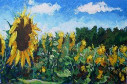 Sunflowers In France - Canvas - Unstretched Canvas