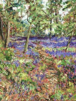Walk Through The Bluebells - Unstretched Canvas