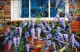 Wonderful Wisteria (GC534F) - Unstretched Canvas