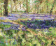 Woodland Walk (GC532F) - Unstretched Canvas