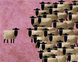 Sheep Meet - Mounted