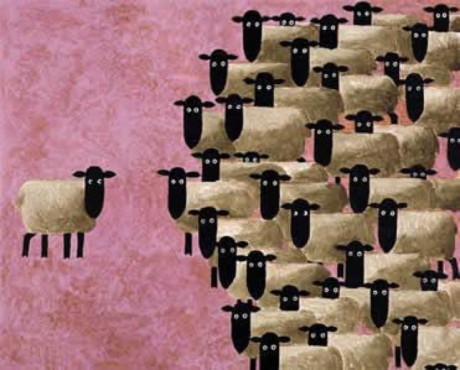 Sheep Meet