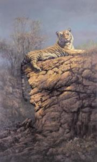 Majestic Pose - Tiger - (Canvas)