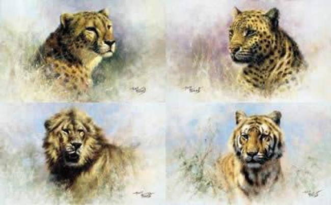 Big Cats Portfolio (Set Of 4) - Mounted Big Cats Portfolio (Set Of 4) - Mounted