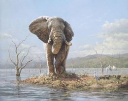 Guardian Of The Lake - Elephant - Mounted