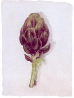 Artichoke - Mounted