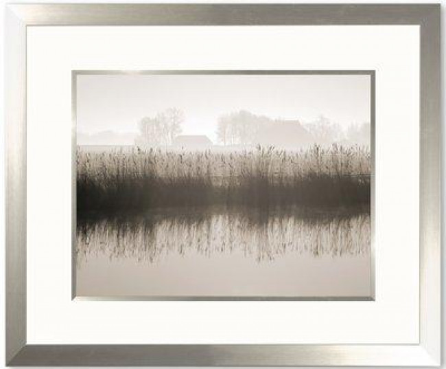 Reed Reflections - Framed