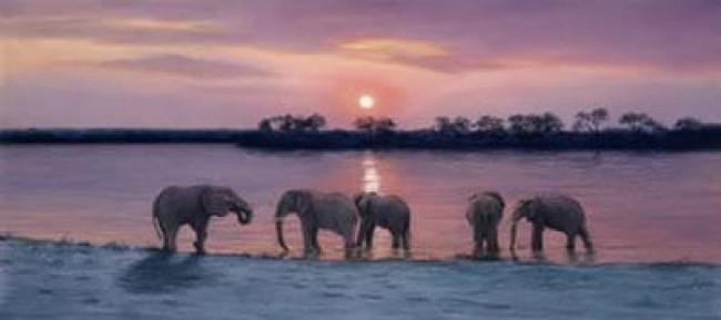 One For The Road - Elephants - Mounted One For The Road - Elephants - Mounted