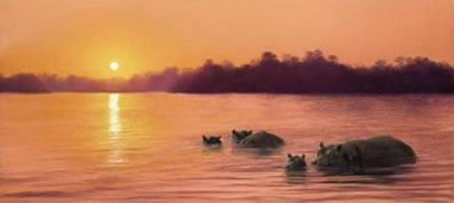 Sun Worship - Hippos - Mounted Sun Worship - Hippos - Mounted