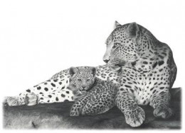 Fearless - Leopards - Mounted