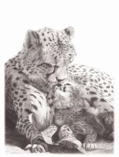 No Greater Love - Cheetah - Mounted