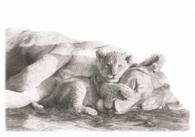 You Sleep ill Stand - Lions - Mounted You Sleep ill Stand - Lions - Mounted