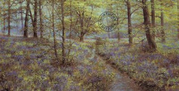 Bluebell Glade - Print