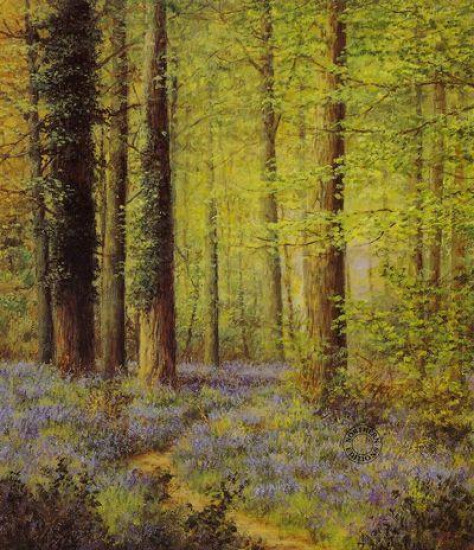 Woodland Way - Print