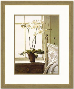 Bedside Orchid - Framed