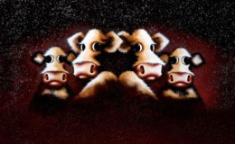 Knowing Me, Knowing Moo - Box Canvas