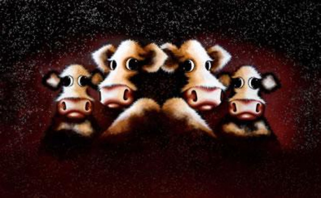 Knowing Me, Knowing Moo - Box Canvas Knowing Me, Knowing Moo - Box Canvas