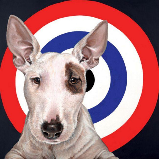 Bulls Eye Bulls Eye