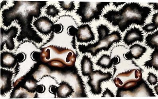 Cow-Moo-Flage - Box Canvas Cow-Moo-Flage - Box Canvas