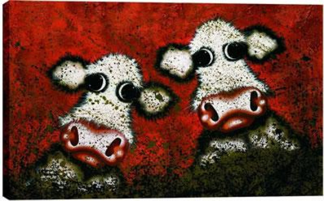 Dirty Cows - Box Canvas