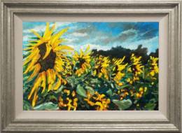 Sunflower Season - Framed