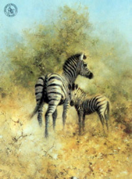 Zebra Mother & Foal, Etosha - Mounted